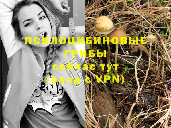 бутират Бугульма
