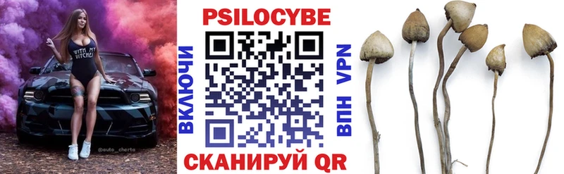 Купить Вилючинск Галлюциногенные грибы мицелий