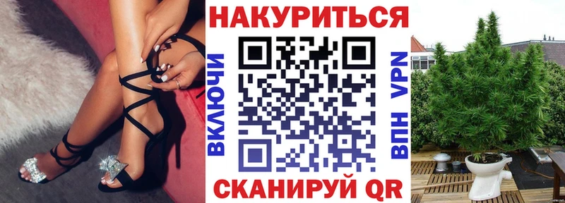 Бошки Шишки сатива  Купить закладки  Вилючинск 